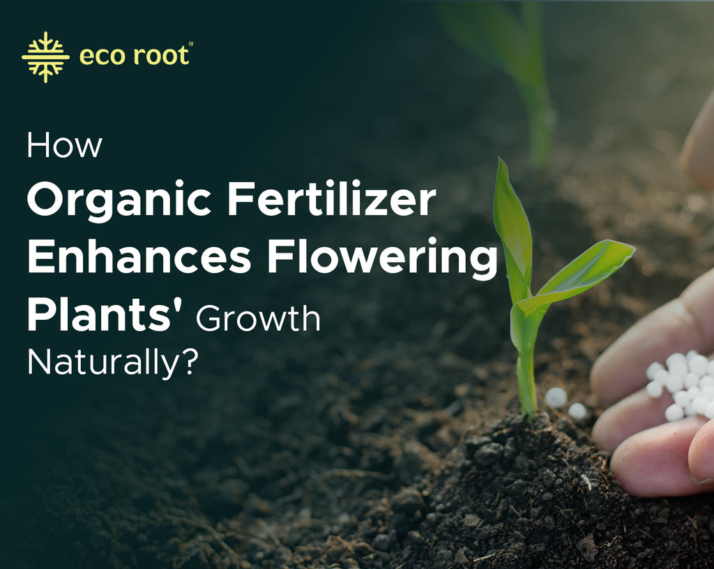 How Organic Fertilizer Enhances Flowering Plants' Growth Naturally