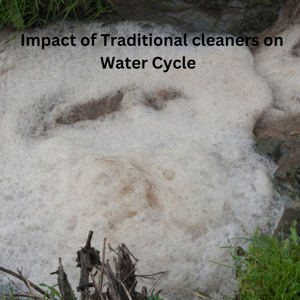 Protecting Water : The Eco-Friendly Bioenzyme Cleaner Revolution